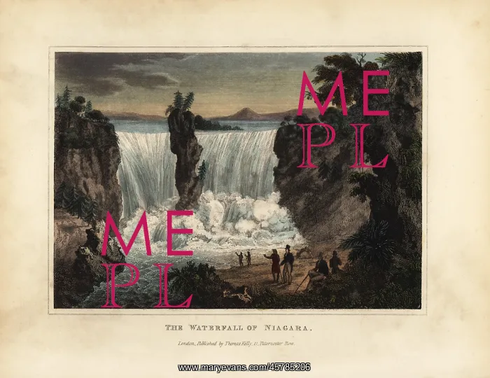 : The Waterfall of Niagara : The Waterfall of Niagara