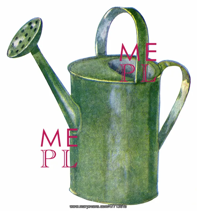 : Watering Can : Watering Can