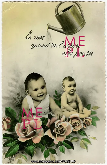  : WATERING BABIES