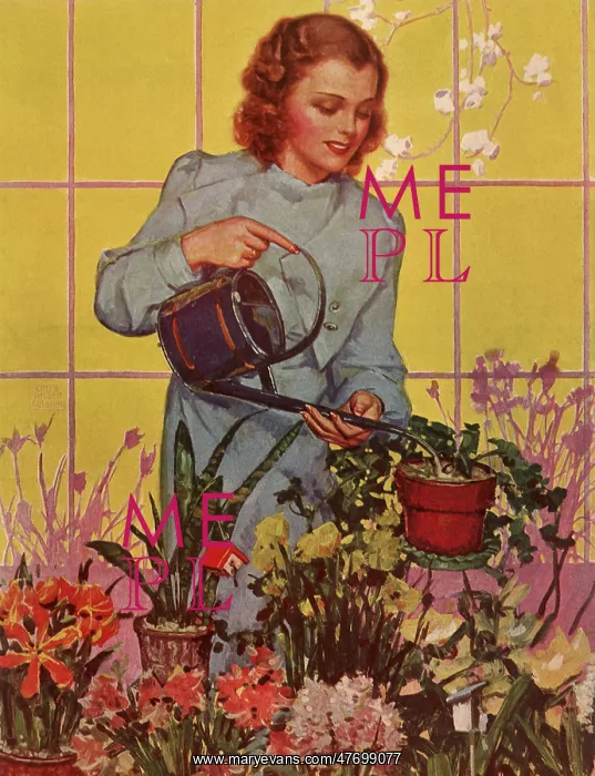  : Watering Flower Pots