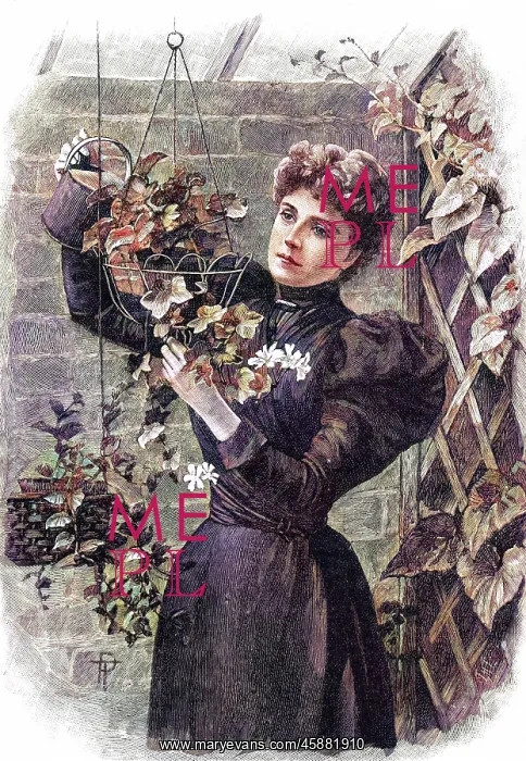  : WATERING HANGING BASKET