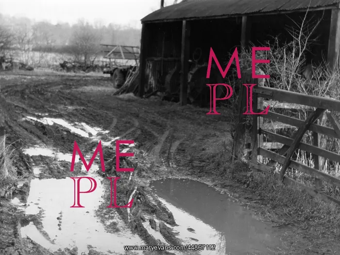  : WATERLOGGED FARMYARD
