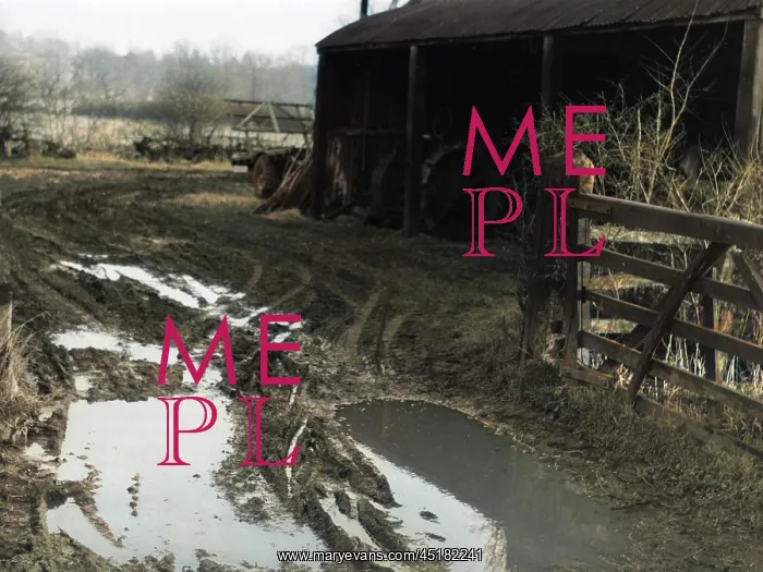 : WATERLOGGED FARMYARD : WATERLOGGED FARMYARD