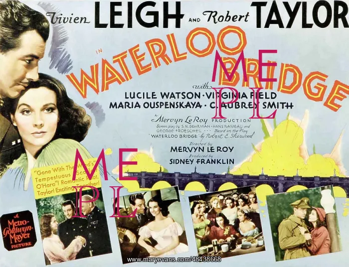 : Waterloo Bridge starring Vivien Leigh and Robert : Waterloo Bridge starring Vivien Leigh and Robert