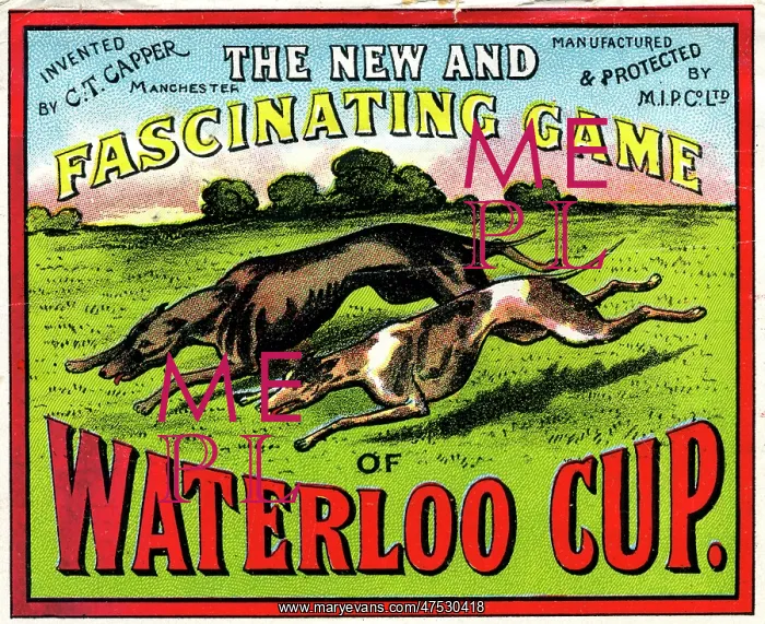  : Waterloo Cup game