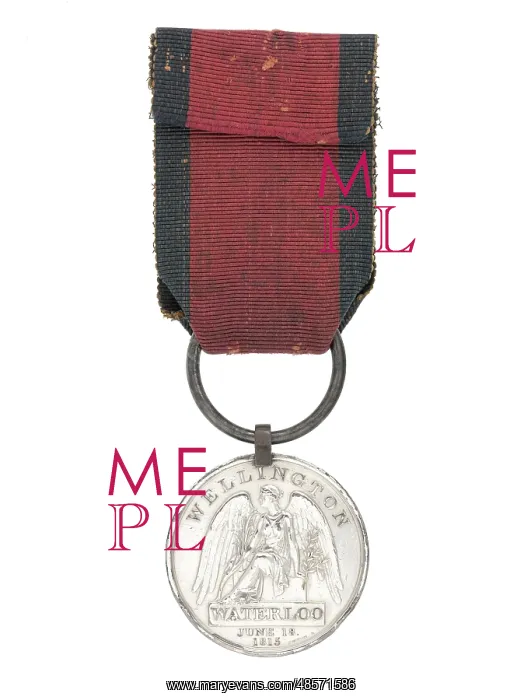 : Waterloo Medal 1815 : Waterloo Medal 1815