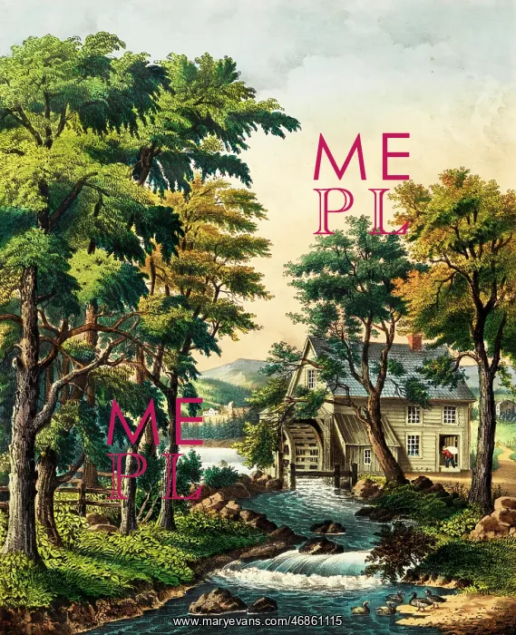 : Watermill and river : Watermill and river