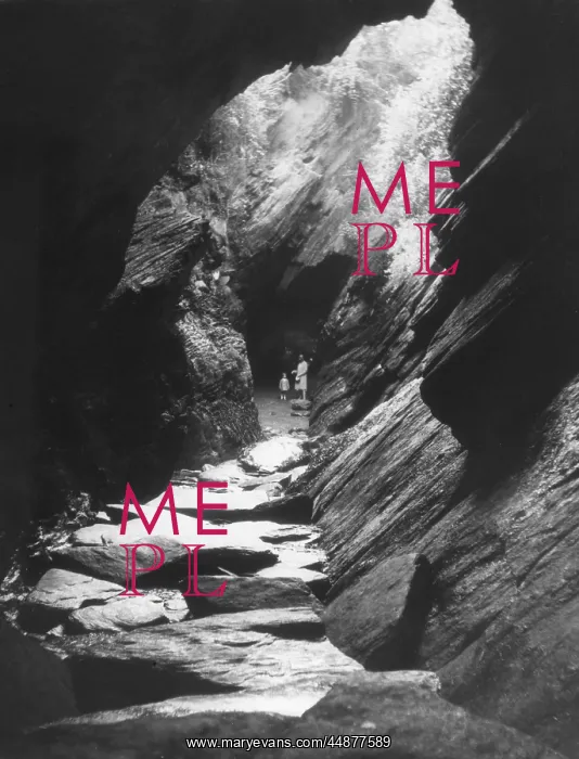  : WATERMOUTH CAVES