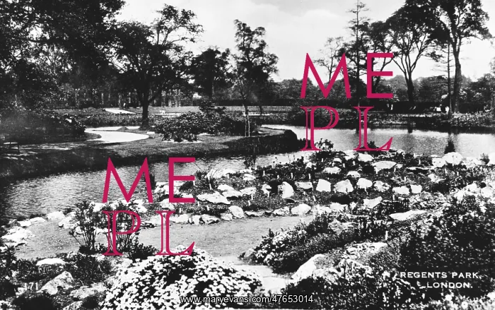  : Waterside scene, Regents Park, London