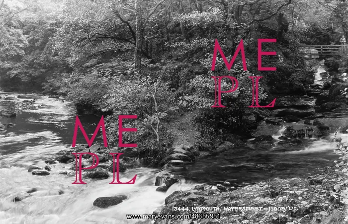 : Watersmeet in Lynmouth : Watersmeet in Lynmouth