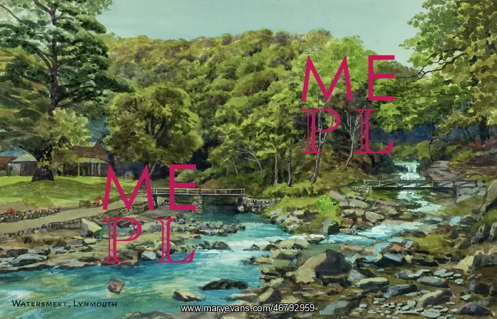: Watersmeet, Lynmouth, Devon : Watersmeet, Lynmouth, Devon