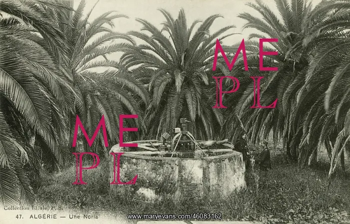 : A waterwheel, Algeria : A waterwheel, Algeria