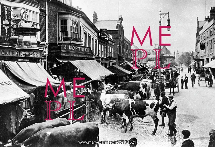  : Watford Market Day