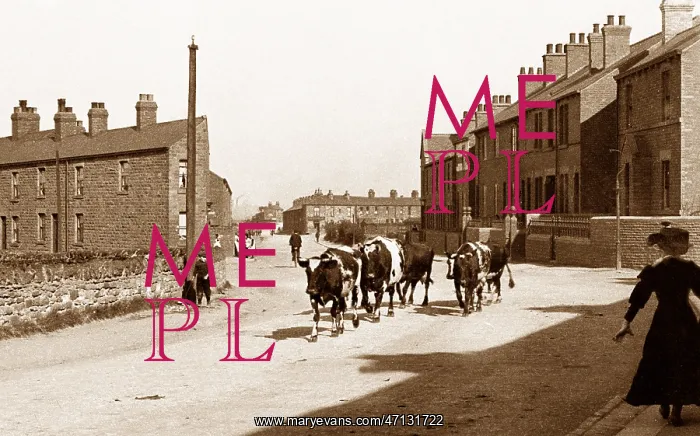  : Wath Road, Wombwell