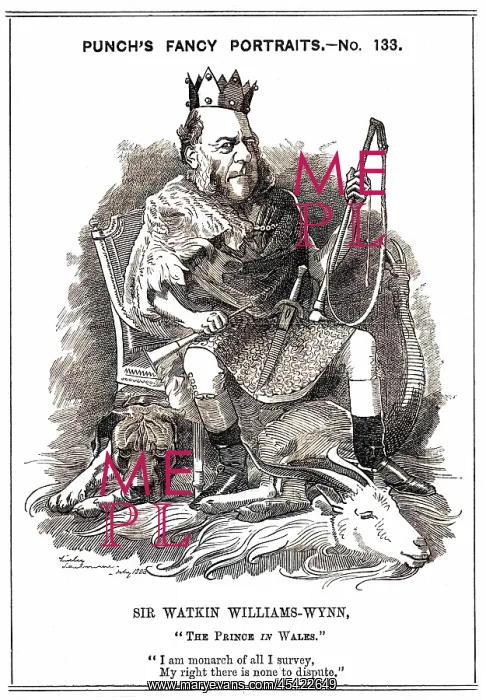 : WATKIN WILLIAMS-WYNN : WATKIN WILLIAMS-WYNN