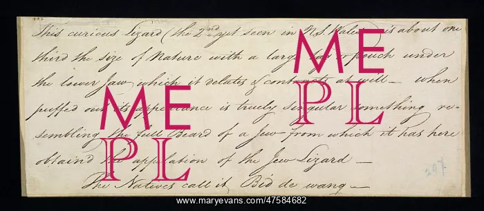 : Watling Drawing 194 : Watling Drawing 194