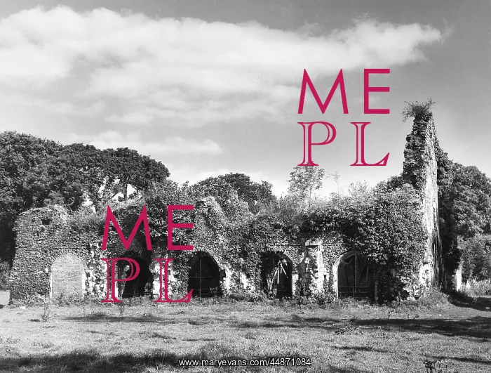 : WAVERLEY ABBEY : WAVERLEY ABBEY