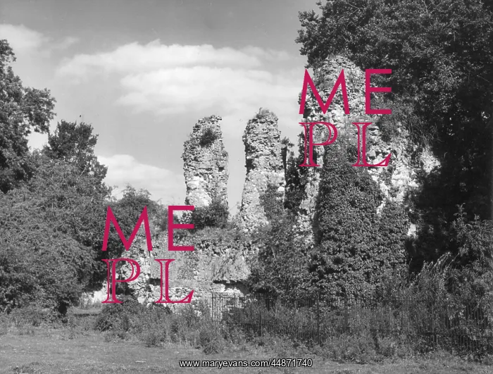 : WAVERLEY ABBEY : WAVERLEY ABBEY