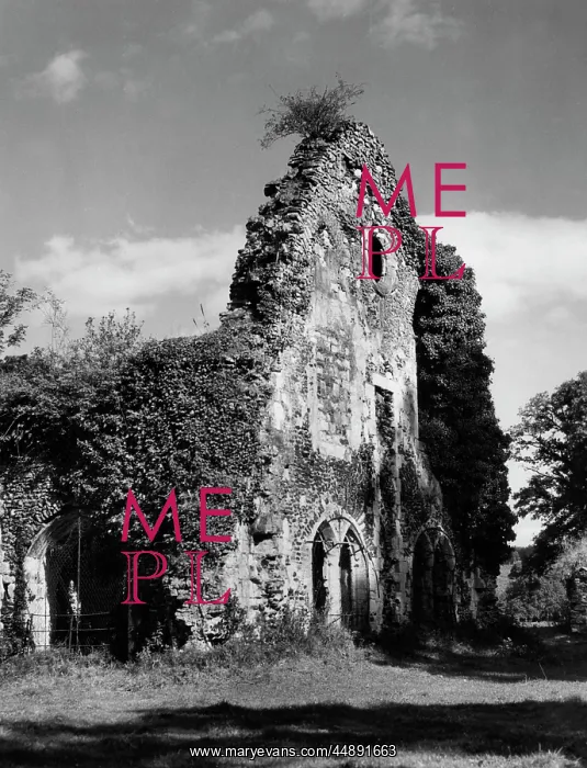 : WAVERLEY ABBEY : WAVERLEY ABBEY