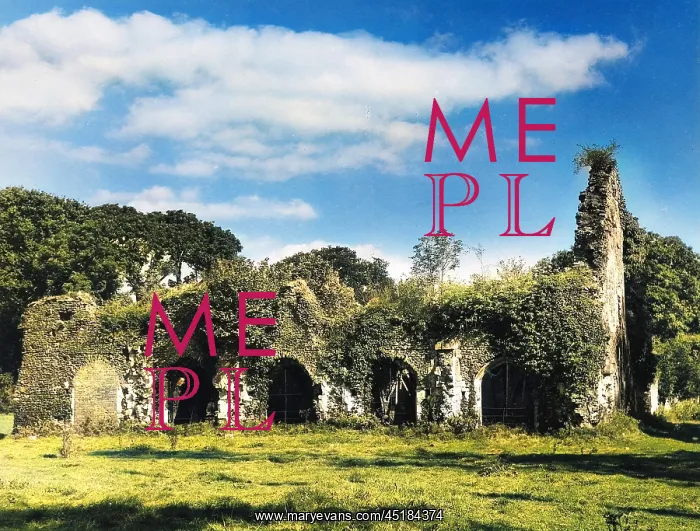 : WAVERLEY ABBEY : WAVERLEY ABBEY