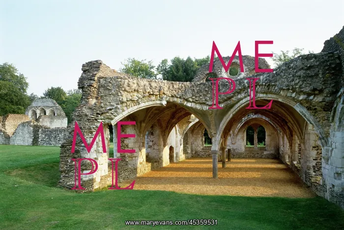 : Waverley Abbey : Waverley Abbey