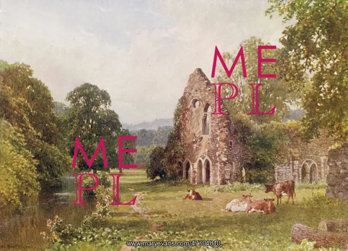  : WAVERLEY ABBEY / SURREY