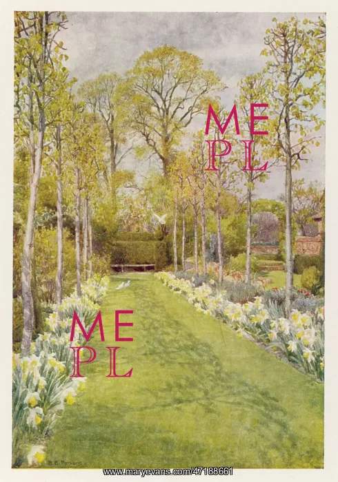: WAXWELL FARM GARDEN 1908 : WAXWELL FARM GARDEN 1908