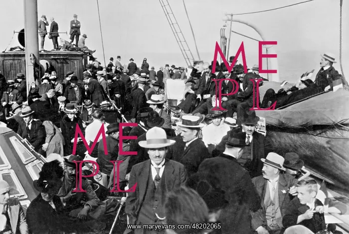 : On the way to the referendum, 1920 : On the way to the referendum, 1920