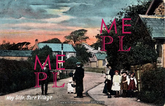 : Way Side, Bare Village, Lancashire : Way Side, Bare Village, Lancashire