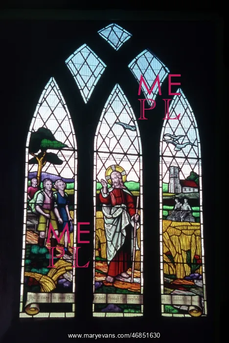 : WAYFARER'S STAINED GLASS : WAYFARER'S STAINED GLASS