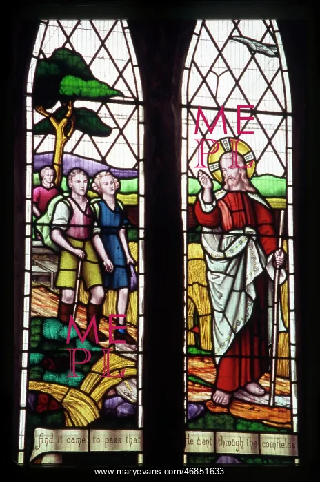 : WAYFARER'S STAINED GLASS : WAYFARER'S STAINED GLASS