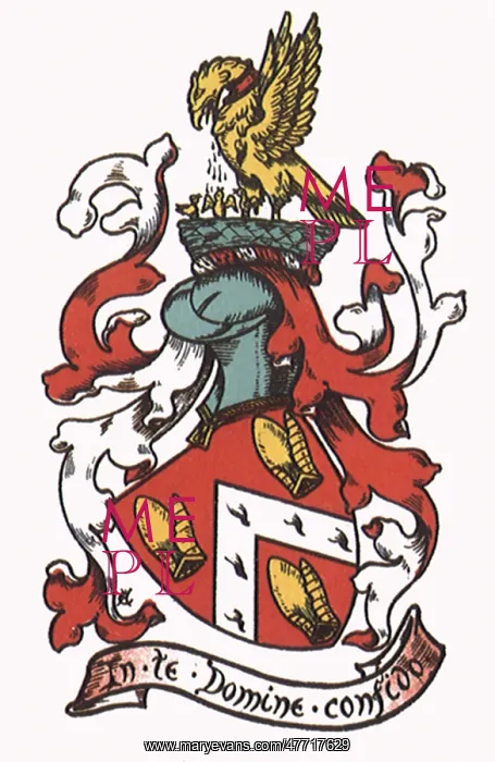 : Wayne Crest : Wayne Crest