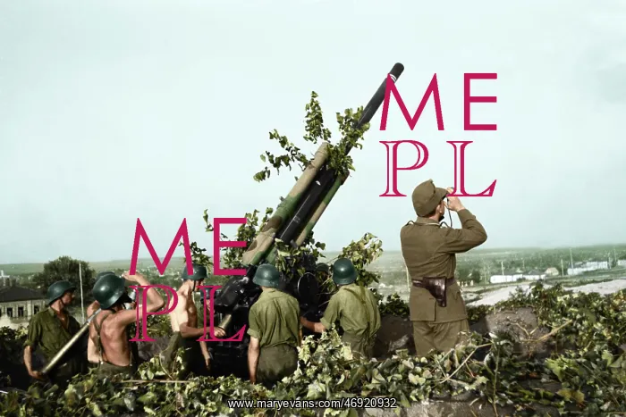 : Weapons of War : Weapons of War
