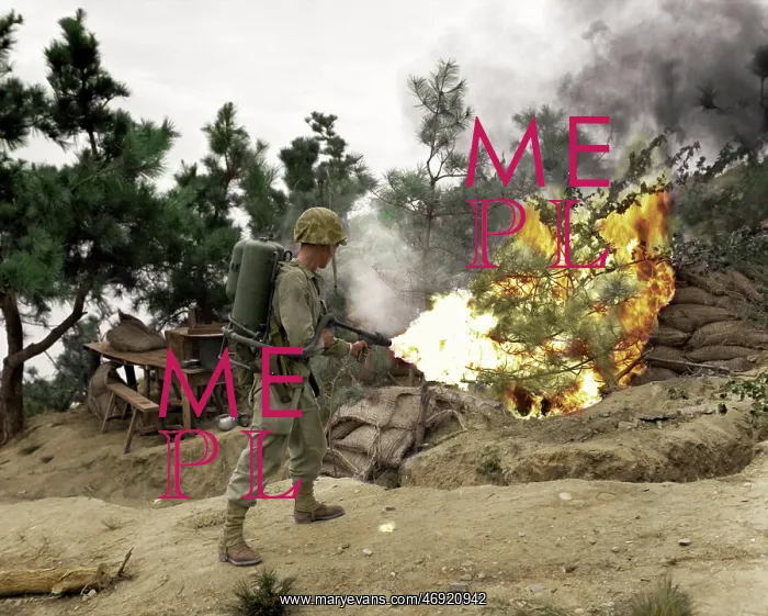 : Weapons of War : Weapons of War