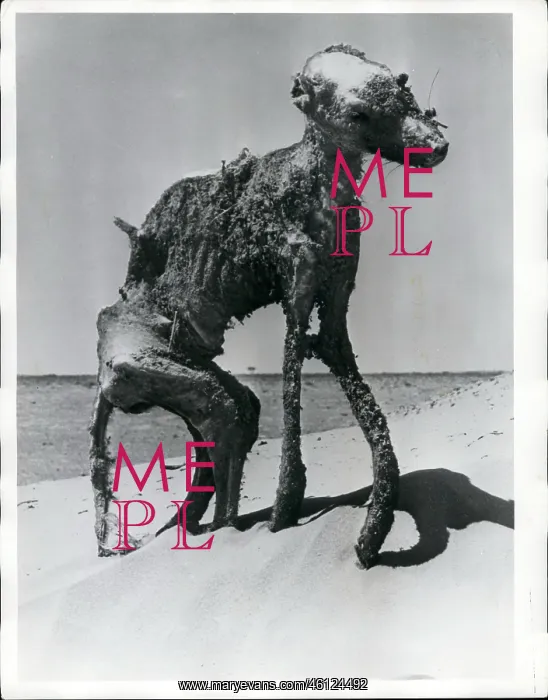 : Weather. 1972 - This is not a pretty picture : Weather. 1972 - This is not a pretty picture