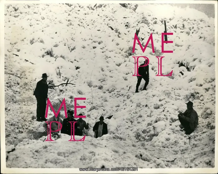: Weather. Jan. 01, 1954 - DEATH ROLL RISES IN SWISS AVALANCHES : Weather. Jan. 01, 1954 - DEATH ROLL RISES IN SWISS AVALANCHES