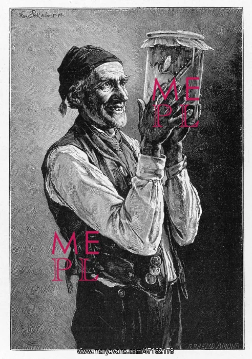 : Weather prediction 19th century : Weather prediction 19th century