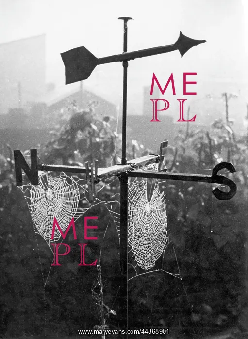 : WEATHERVANE & WEB : WEATHERVANE & WEB