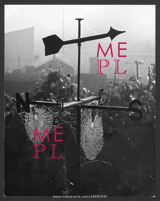  : WEATHERVANE & WEB