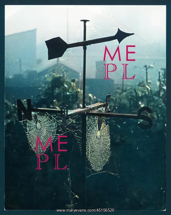 : WEATHERVANE & WEB : WEATHERVANE & WEB