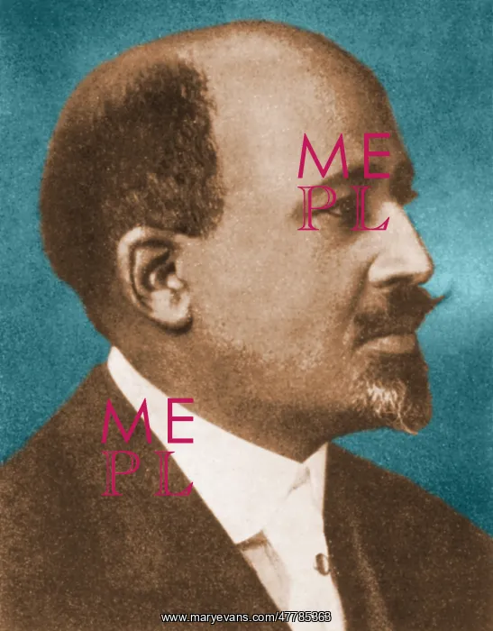 : W.E.B. Du Bois, American Polymath : W.E.B. Du Bois, American Polymath
