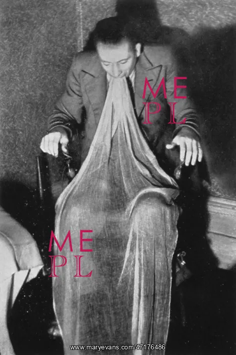 : WEBBER & ECTOPLASM : WEBBER & ECTOPLASM