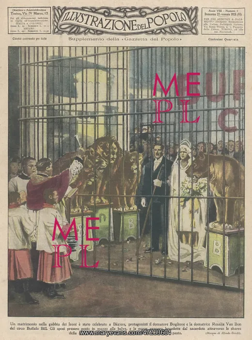 : WED IN LION'S CAGE : WED IN LION'S CAGE