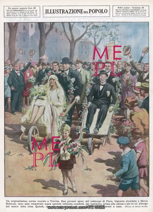 : WED IN WHEELBARROWS : WED IN WHEELBARROWS