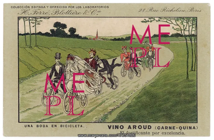  : Wedding on Bicycles