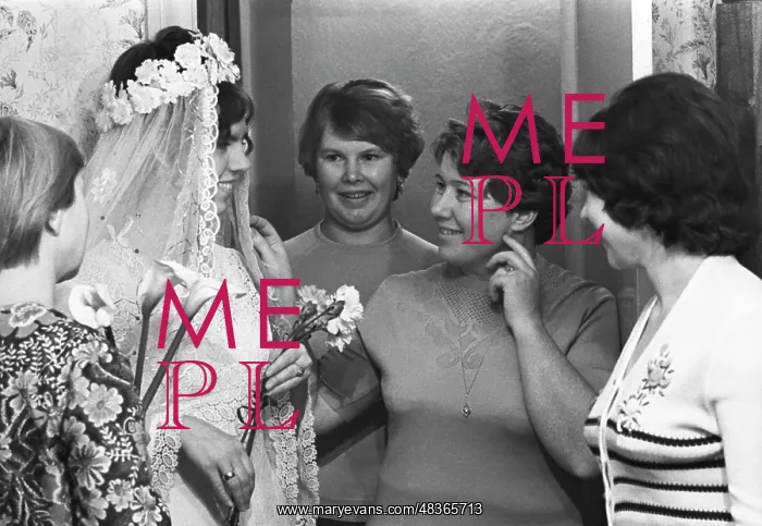 : The wedding ceremony : The wedding ceremony