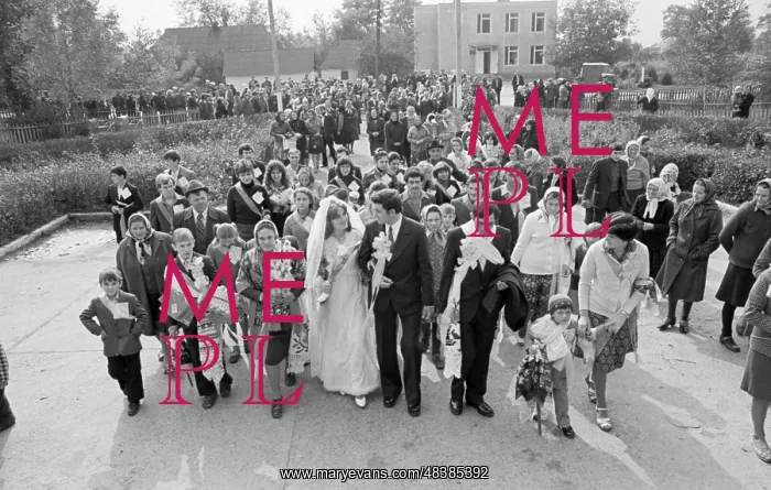: Wedding ceremony : Wedding ceremony