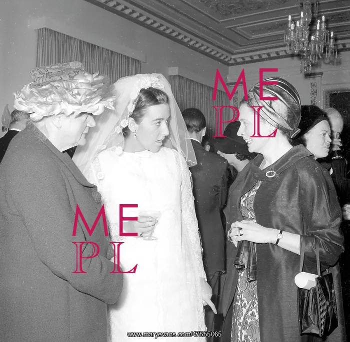  : Wedding guests with the bride at the reception