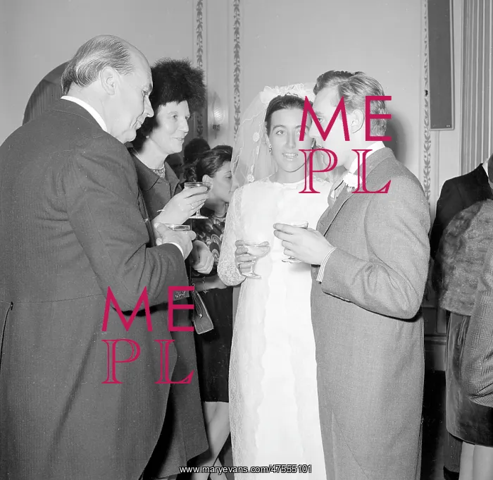 : Wedding guests with the bride at the reception : Wedding guests with the bride at the reception