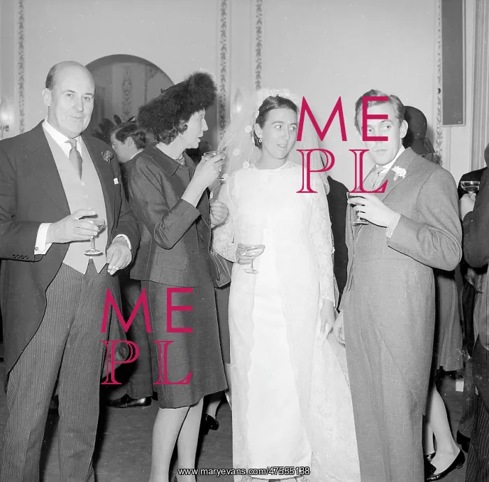 : Wedding guests with the bride at the reception : Wedding guests with the bride at the reception